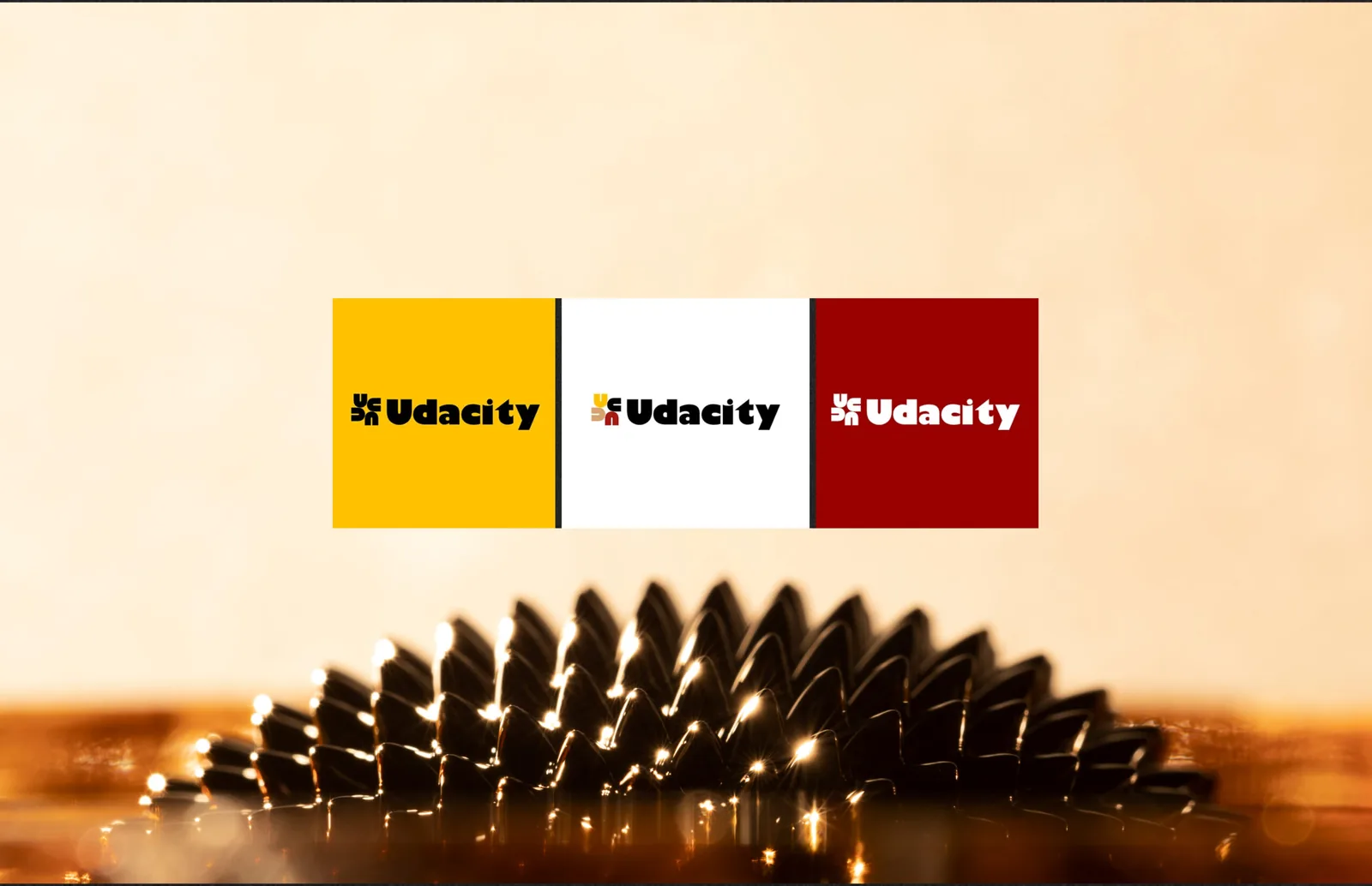 Udacity, reimagined — Sunday Oladokun: a self-directed brand concept