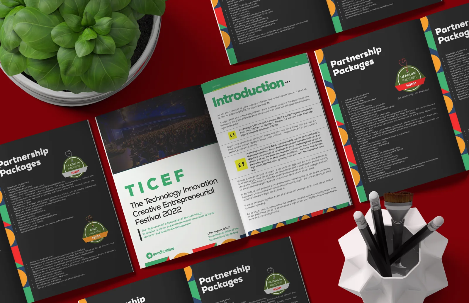 TICEF Conference — event branding and collateral by Sunday Oladokun
