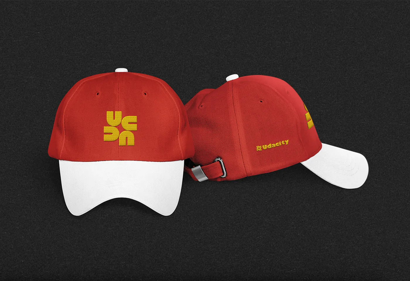 Udacity, reimagined — a self-directed brand concept by Sunday Oladokun